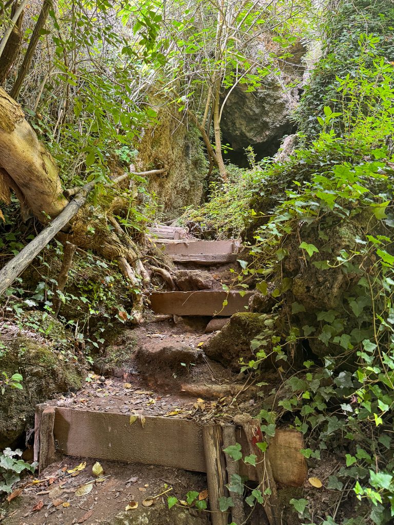 Scalini verso la grotta della cascata del Vuglio