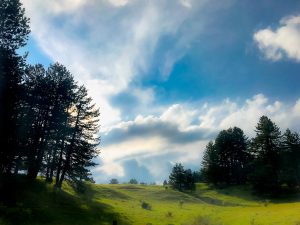 Foto di un paesaggio sul sentiero della transumanza in Sila