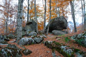 I monoliti che compongono la pietra dell'altare in sila