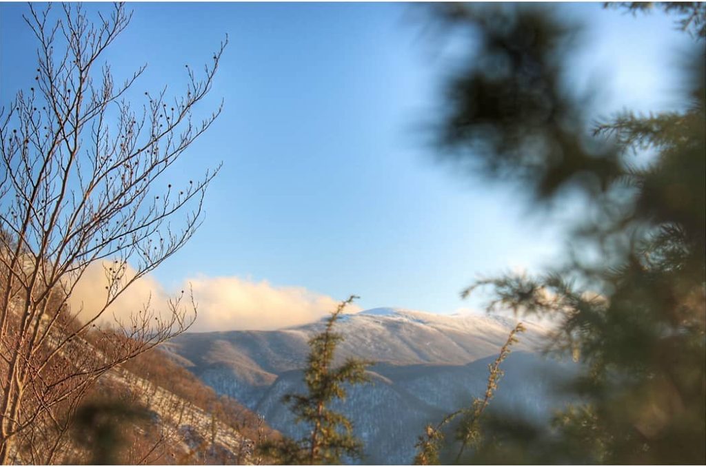 Il parco nazionale del pollino