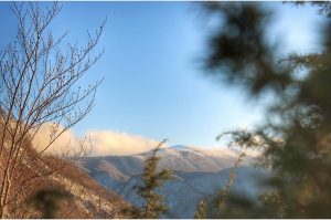 Il parco nazionale del pollino